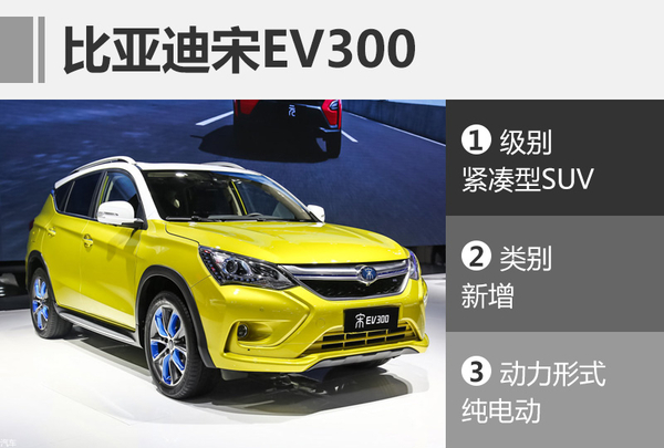 售价宋ev300比亚迪宋纯电动 新款比亚迪宋电动车比亚迪宋纯电动车价格